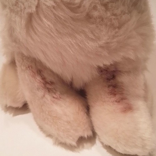 Grumpy Cat GUND plush cat used