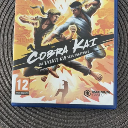 Cobra Kai PlayStation 4 (PS4) like new, fully functional