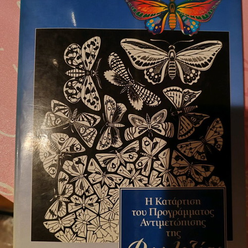 Book The Development of the Dyslexia Intervention Program new