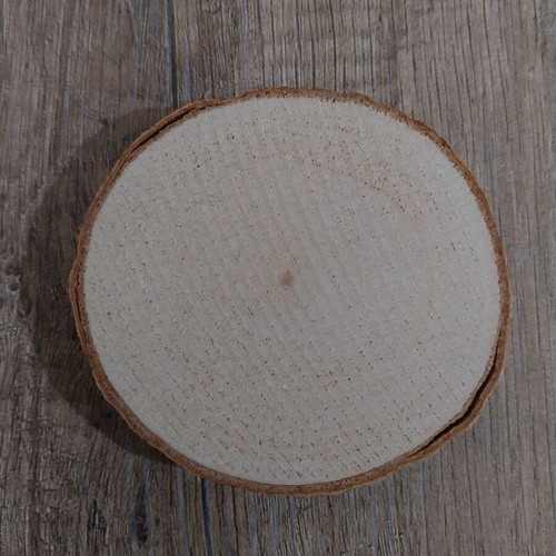 Decorative Tree Trunk Slices with Oranges Handmade