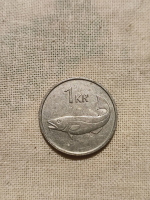 Coin from Iceland used