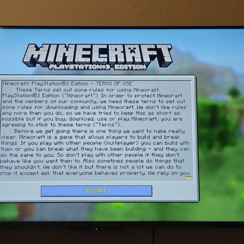 Minecraft PlayStation 3 Edition game