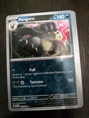 Pangoro Pokemon card new