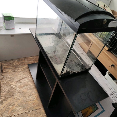 Aquarium used with furniture and EHEIM filter