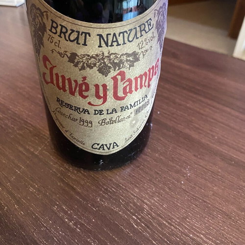 Juve y Camps Brut Nature Cava 1999 vintage, new