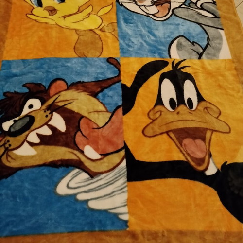Looney Tunes Kids Blanket like new 2.30 x 1.60 m