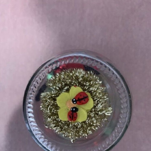Decorative vase with ladybug new