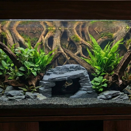 Decorative aquarium cave 3D printed new, hiding place for fish