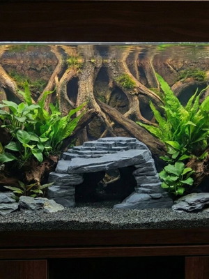 Decorative aquarium cave 3D printed new, hiding place for fish