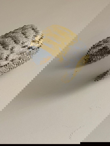 Βραχιόλι cuff σε snake print