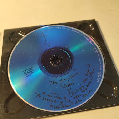 Patti Smith Group Easter CD like new, rock
