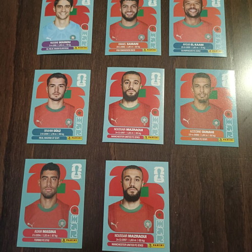 Panini stickers Morocco new, all together
