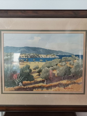 Ταμβακέρας Στρατής Ακουαρέλα Ελαιώνας καινούργιο