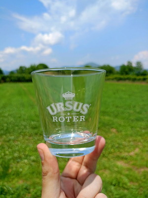 Ursur Royter glasses like new, set of 3
