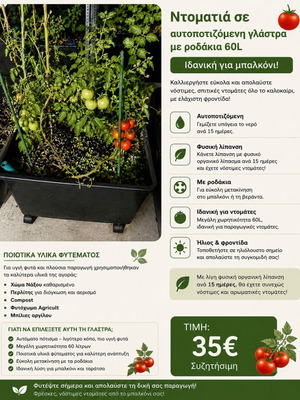 Ντοματιά σε αυτοποτιζόμενη γλάστρα 60L με ροδάκια μεταχειρισμένη