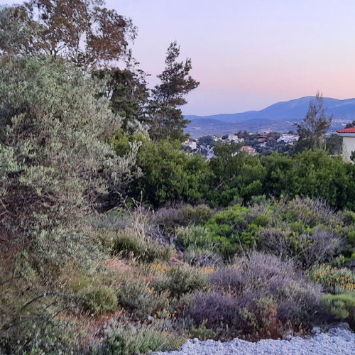 Land 1,500 m² in Drafi, corner plot, within city plan