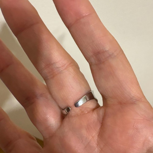 Ring leaf-shaped stainless steel new