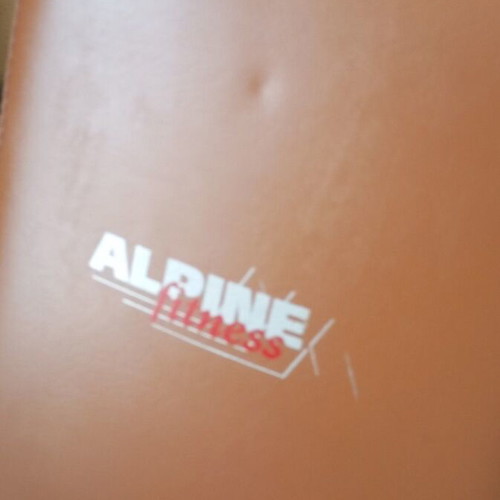 Alpine Fitness home gym multigym used with pulley replacement needed