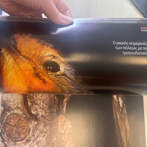 Nature Explore Feathered World book new with lens by Giorgos Avagianou