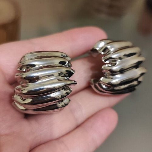 Impressive silver earrings new, iron and titanium steel
