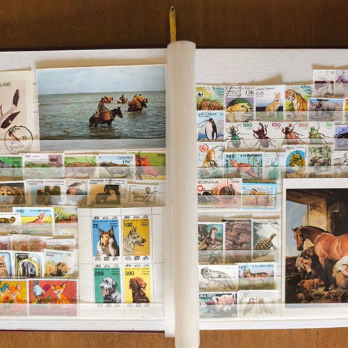 A4 Album 16 Pages with Rich Animal Stamp Collection like new