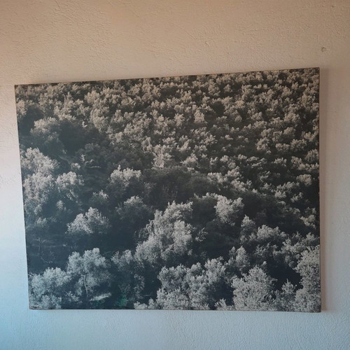 Harisiadis Photograph Elaionas used, enlargement on wood 70x55cm