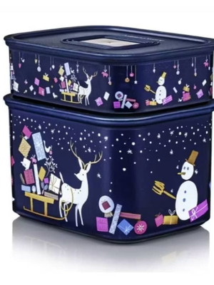 Σετ Tupperware 2 τεμαχίων, αεροστεγή δοχεία τροφίμων 1.3L και 500ml