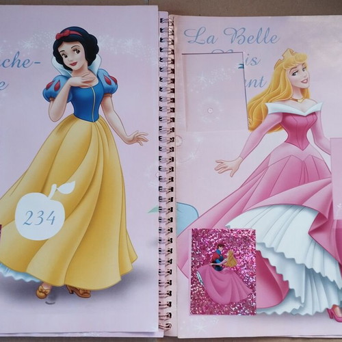 Panini Disney Princess Sticker Album used French edition