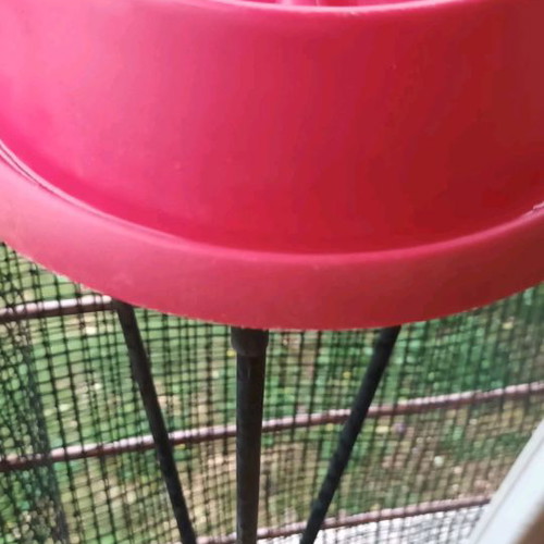 Slow feeder bowl used, medium size, fuchsia
