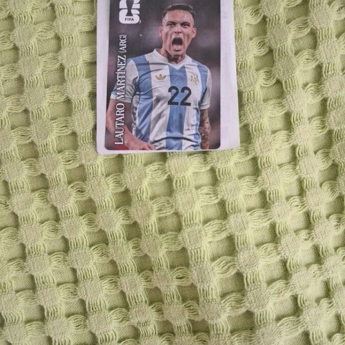 Panini Mundial 2026 Coca Cola rare stickers set like new