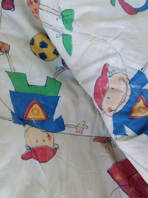 Children's quilt used in very good condition with cover
