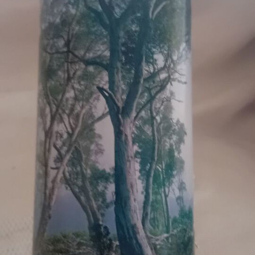 National Geographic Fantasy Forest wall sticker new 3.68x2.54cm