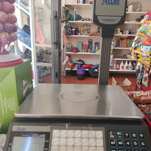 Professional portable scale used with stainless steel platform and waterproof keypad