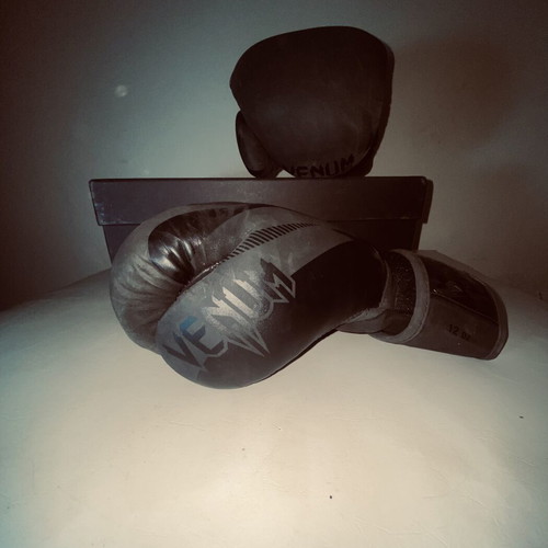 Venum KB gloves 12 oz used