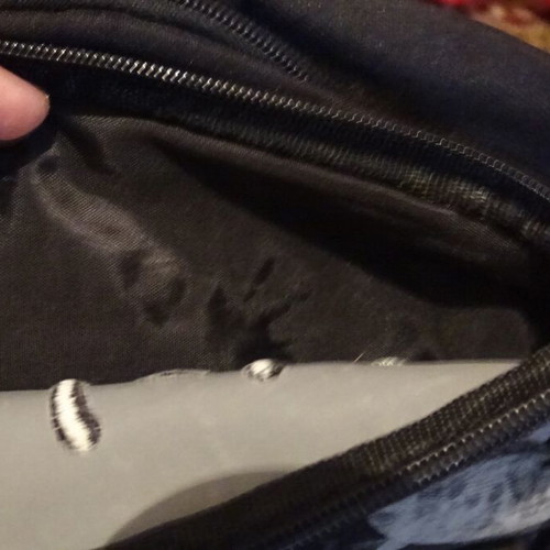School bag used with 2 bottle holders