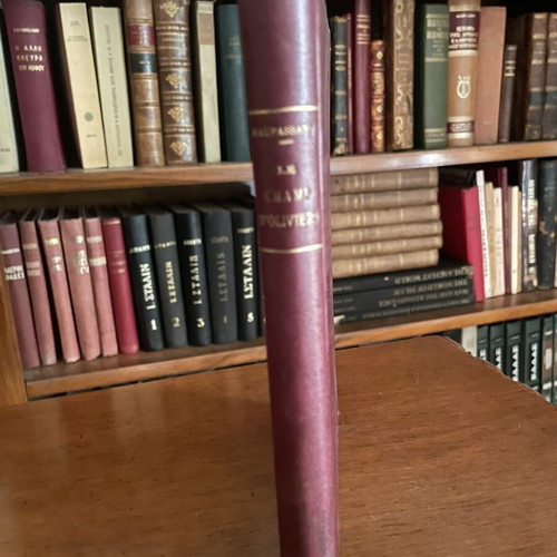 Guy de Maupassant Le Champ d’Oliviers book used, French