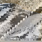 ΠΕΡΙΟΔΙΚΟ -ΜΠΡΟΥΣ ΛΗ τεύχος 2