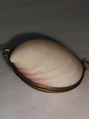 Shell Box Wallet with Brass Frame like new