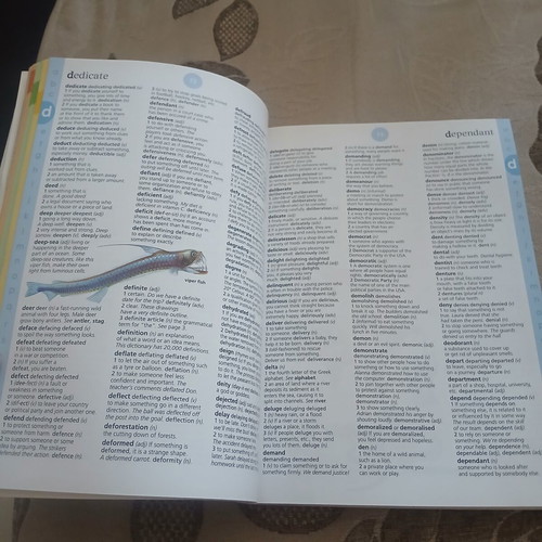 English Dictionary & Thesaurus book like new