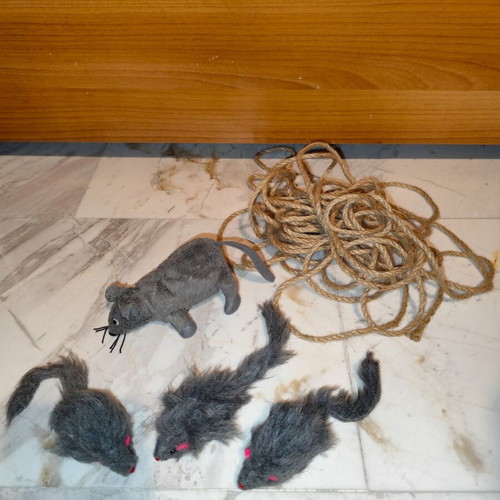 Cat equipment used and new, various accessories