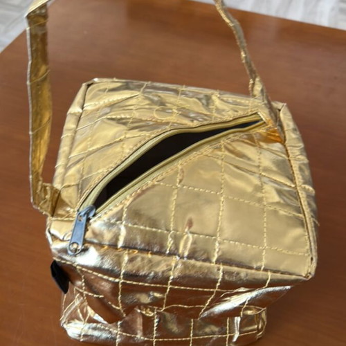 Insulated gold lunch bag new