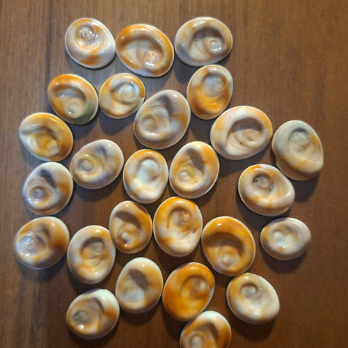 Sea eyes new, set of 26 pieces