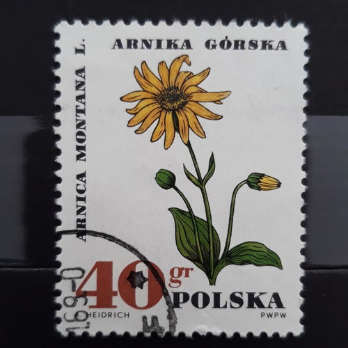 Γραμματόσημο Πολωνίας 1967, Φυτά Φαρμακευτικά, Λουλούδι καινούργιο