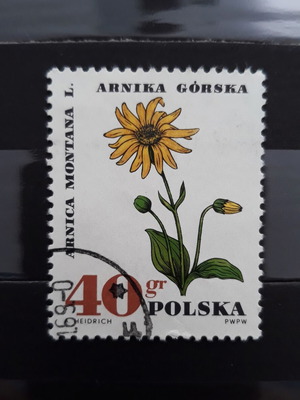 Γραμματόσημο Πολωνίας 1967, Φυτά Φαρμακευτικά, Λουλούδι καινούργιο