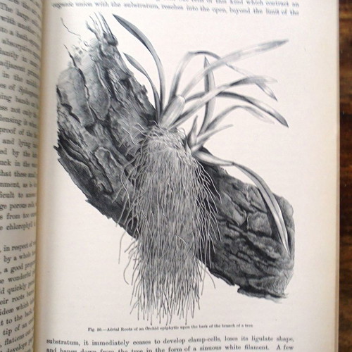 The Natural History of the Plants used two-volume set
