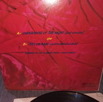 Rolling Stones Undercover of the Night vinyl record used, rock