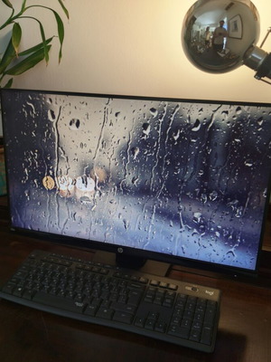 HP 24W IPS Full HD monitor used