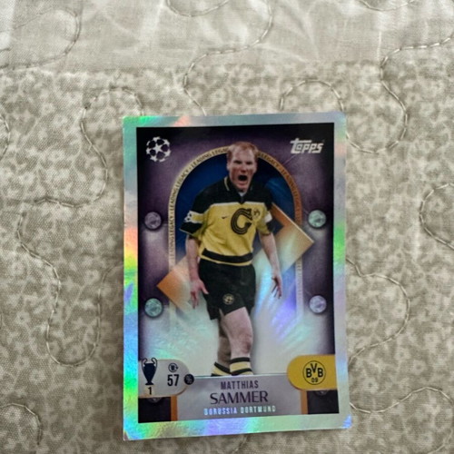 Panini Champions League 25-26 silver cards new, collectible