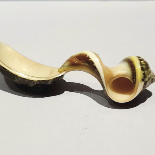 Onyx Bowl and Natural Shell Caviar Spoon Set new, vintage handmade