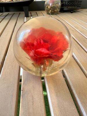 Hafod Grange paperweight used, 1994
